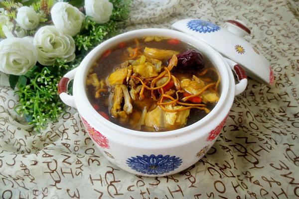 虫草花炖鸡的精选做法