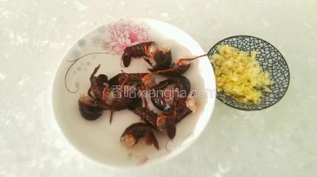 龙虾洗净去头，抽掉虾线，姜蒜切碎。