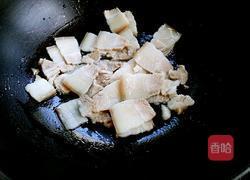 圆白菜回锅肉的做法图解8