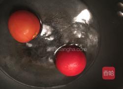 鱼头番茄汤的做法图解4