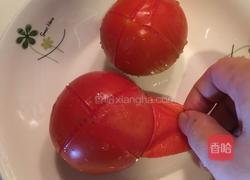 鱼头番茄汤的做法图解5