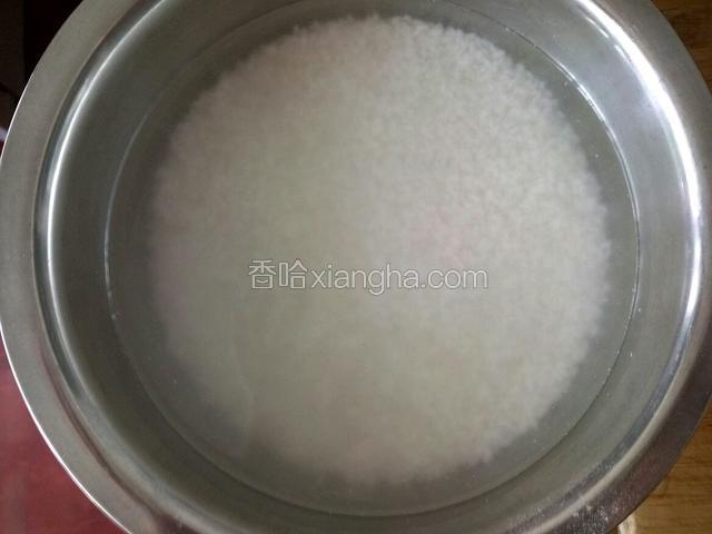 大米提前一晚泡好冰箱冷藏