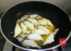 红烧马面鱼的做法图解6