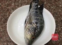 烧石斑鱼的做法图解2