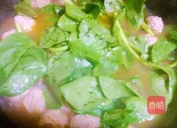 圆子汤的做法图解11
