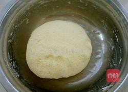 粗粮包子的做法图解5