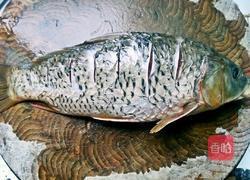 跳水鱼的做法图解2