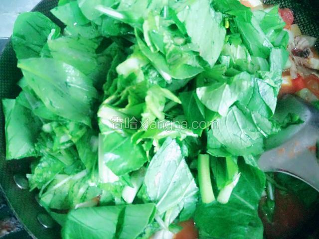倒入青菜，进行翻炒