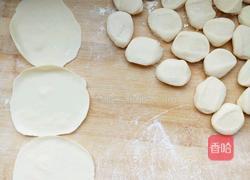 猪肉水萝卜饺子的做法图解8