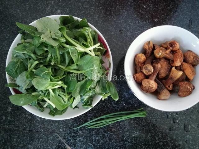 准备好食材，干松茸先洗干净，用温水跑发30分钟后用料酒泡一会；