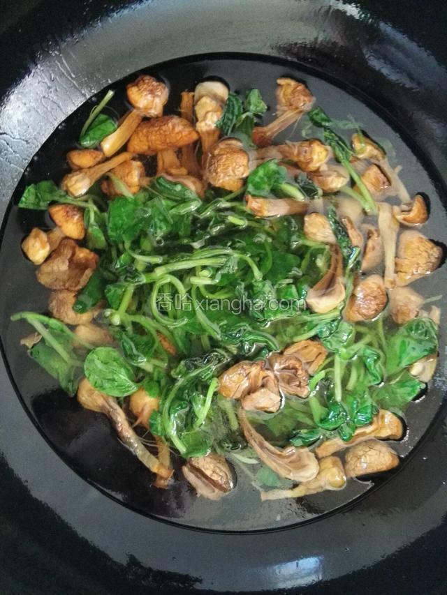 先爆一下青菜后放松茸，松茸撕一下，翻炒一下后加入适量的水，（不需要太多，够一碗就可以）；