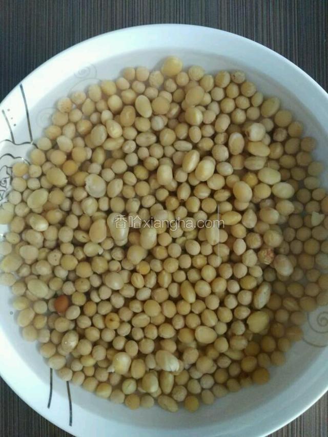将黄豆洗净放入清水中，浸泡时间可同步肘子的时间，黄豆的味道还是很好的。