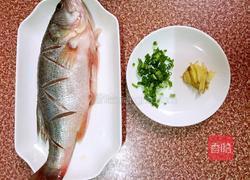 红烧海鲈鱼的做法图解1