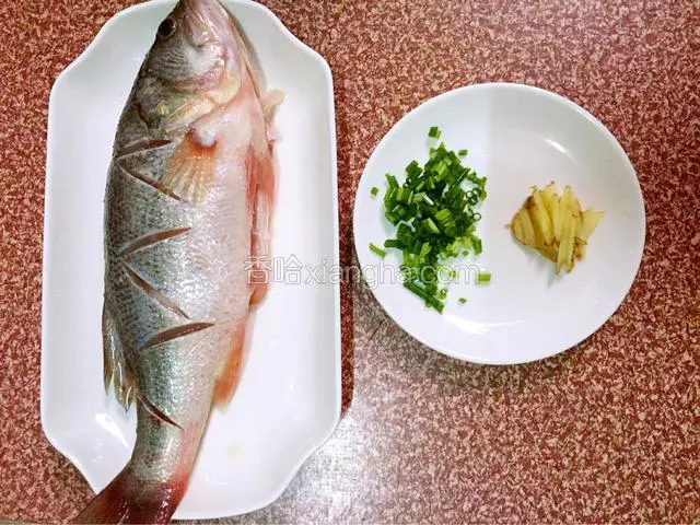 海鲈鱼去鳞去内脏去腹黑流水冲净后在鱼前后各切几刀用盐腌制半小时，姜切丝，葱切葱花备用