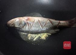 红烧海鲈鱼的做法图解3