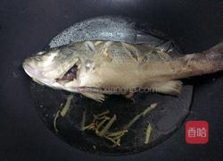 红烧海鲈鱼的做法图解5