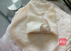 鸡肉春卷的做法图解9