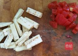 西红柿茄子烧牛肉的做法图解4