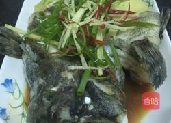 葱油石斑鱼的做法图解9