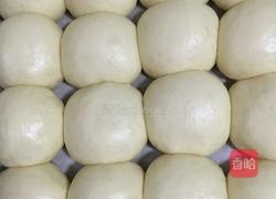 淡奶油椰蓉餐包(一次发酵法)的做法图解10