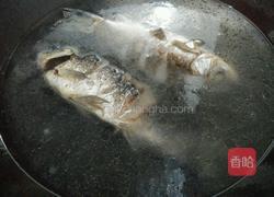 蕃茄鲫鱼汤的做法图解4