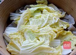 油泼白菜的做法图解3