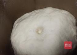 炕饼的做法图解4