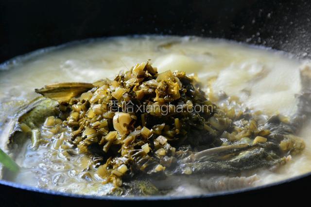 大火烧10分钟至汤色奶白，放入炒过的雪菜粒再煮5分钟。