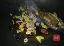 侉炖鱼的做法图解4