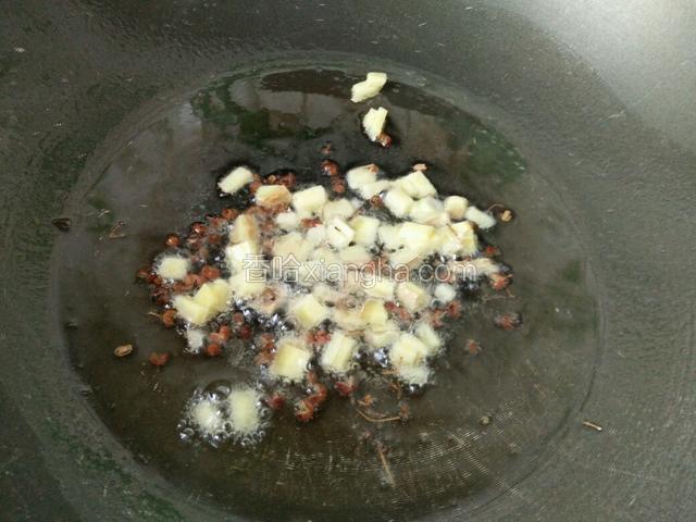 锅留油，放姜花椒炒香，要温油榨出姜和花椒的香味，榨到油热冒青烟