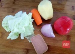 罗宋汤的做法图解3