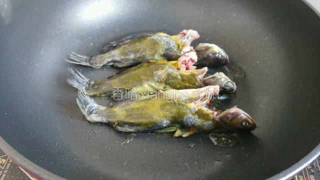 把洗干净的黄骨鱼放入中小火煎