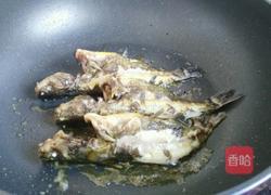 酱烧黄颡鱼的做法图解5