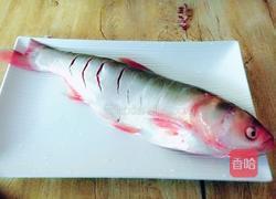 酱炖鲢鱼的做法图解1