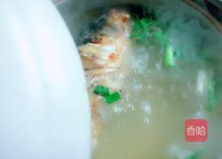 家炖白鲢鱼的做法图解7