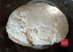 猪肉榛蘑饺子的做法图解4