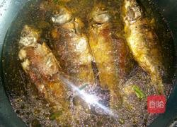酥焖鲫鱼的做法图解8