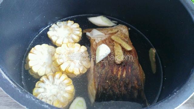 鱼肉加葱姜，和玉米放入锅内，加入适量的水