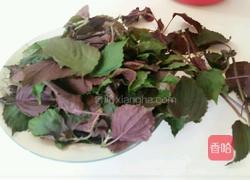 苏子叶咸菜的做法图解1