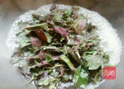 苏子叶咸菜的做法图解2