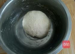 地瓜面山菜包子的做法图解3