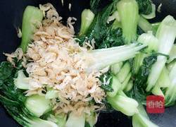 虾米油菜的做法图解8