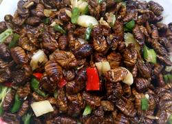 食材菜谱图