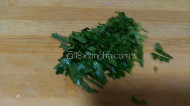 香菜切末