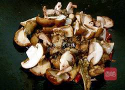 干锅香菇鸡的做法图解9