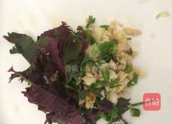 紫苏凉拌猪耳朵的做法图解4