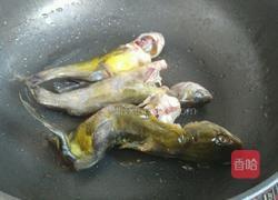 烩黄辣丁的做法图解4