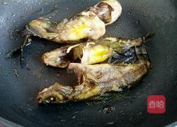 烩黄辣丁的做法图解5