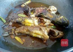 烩黄辣丁的做法图解8