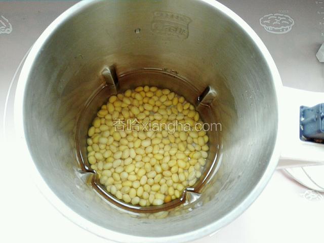 把黄豆放入豆浆机中，添加适量水